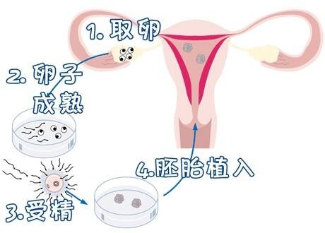 周副主任医师